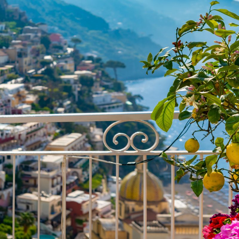 Lemon tree over blurred view of Positano at Amalfi coast.